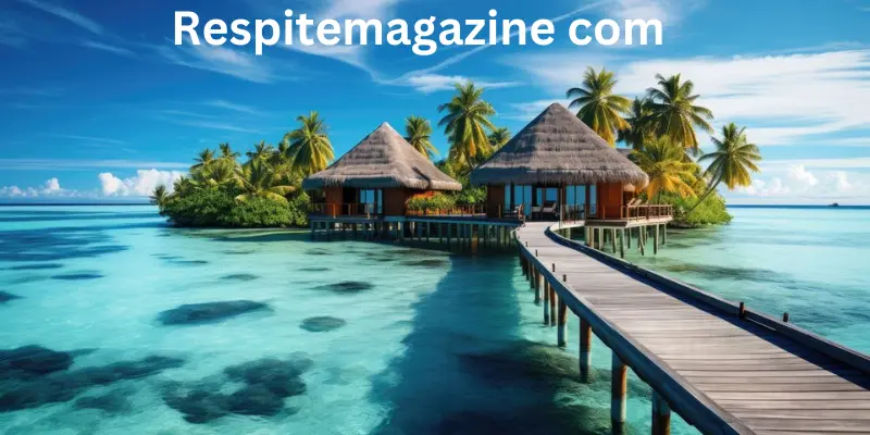 Respitemagazine com image